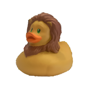 Rubber Duckie  Lion Your The ONE